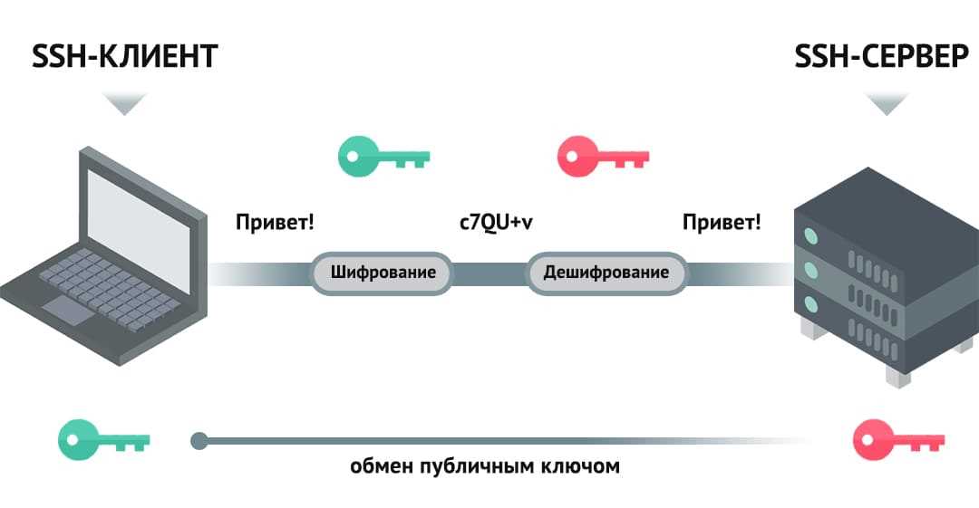 Как подключиться к хостингу через ssh