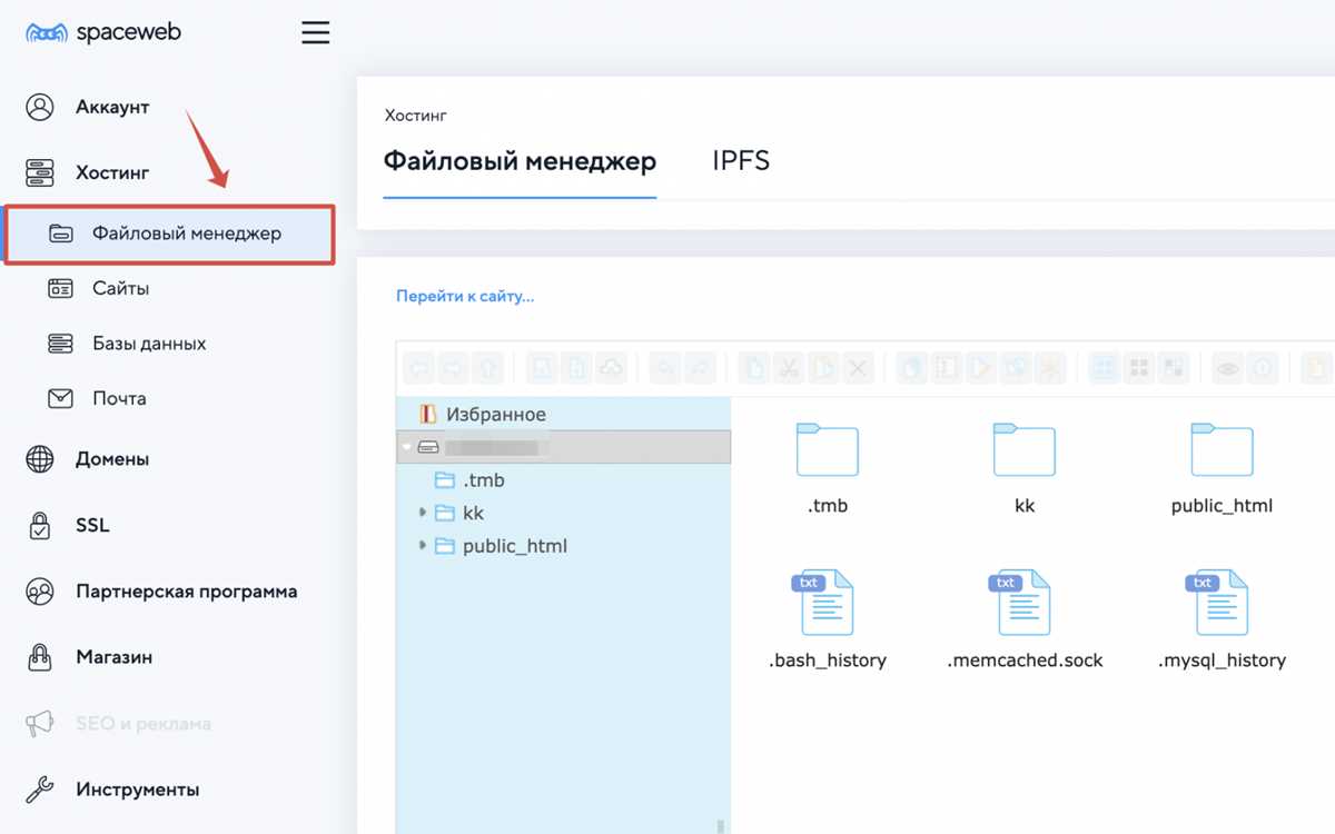 Как разместить программу на хостинге